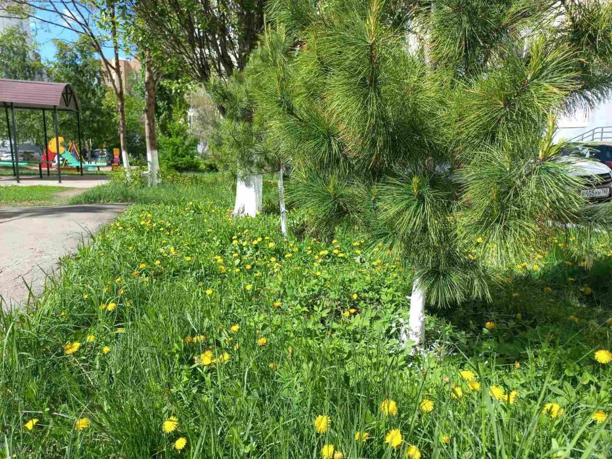 Фото автора.