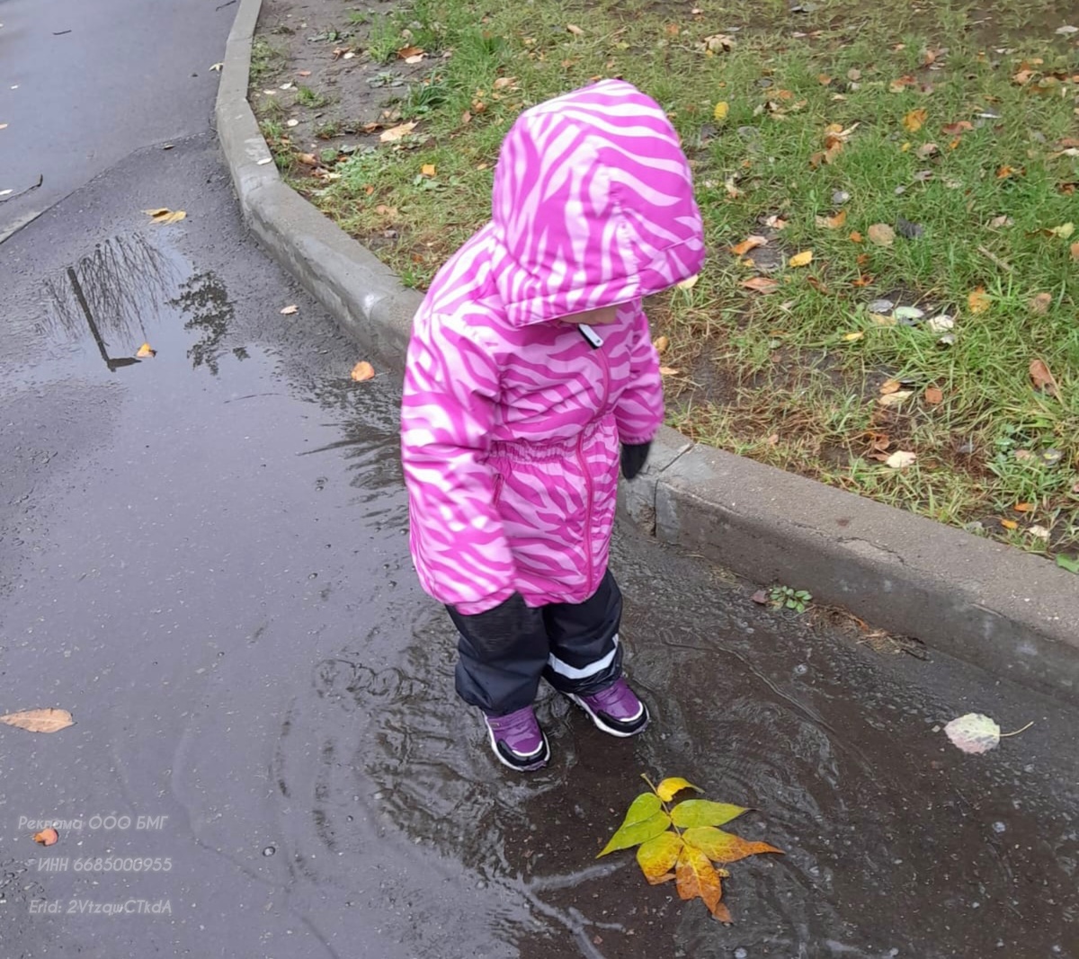 Гуляем по пути из детского сада.