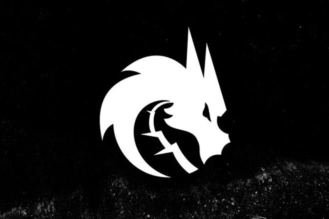    Фото: Соцсети Team Spirit