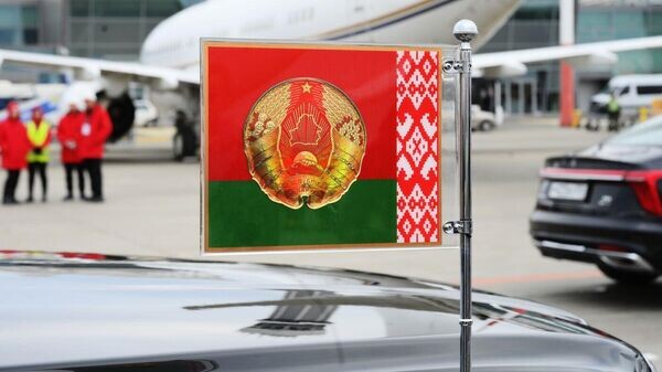    © Екатерина Чеснокова