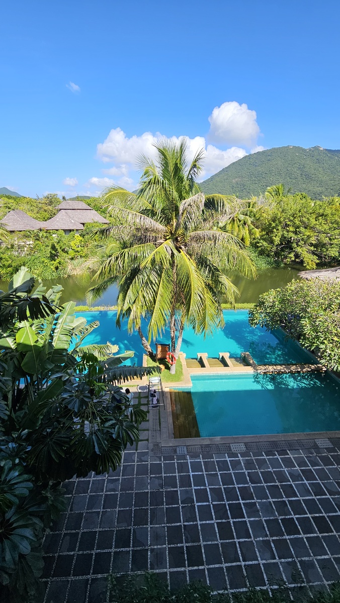 Вид из главного корпуса