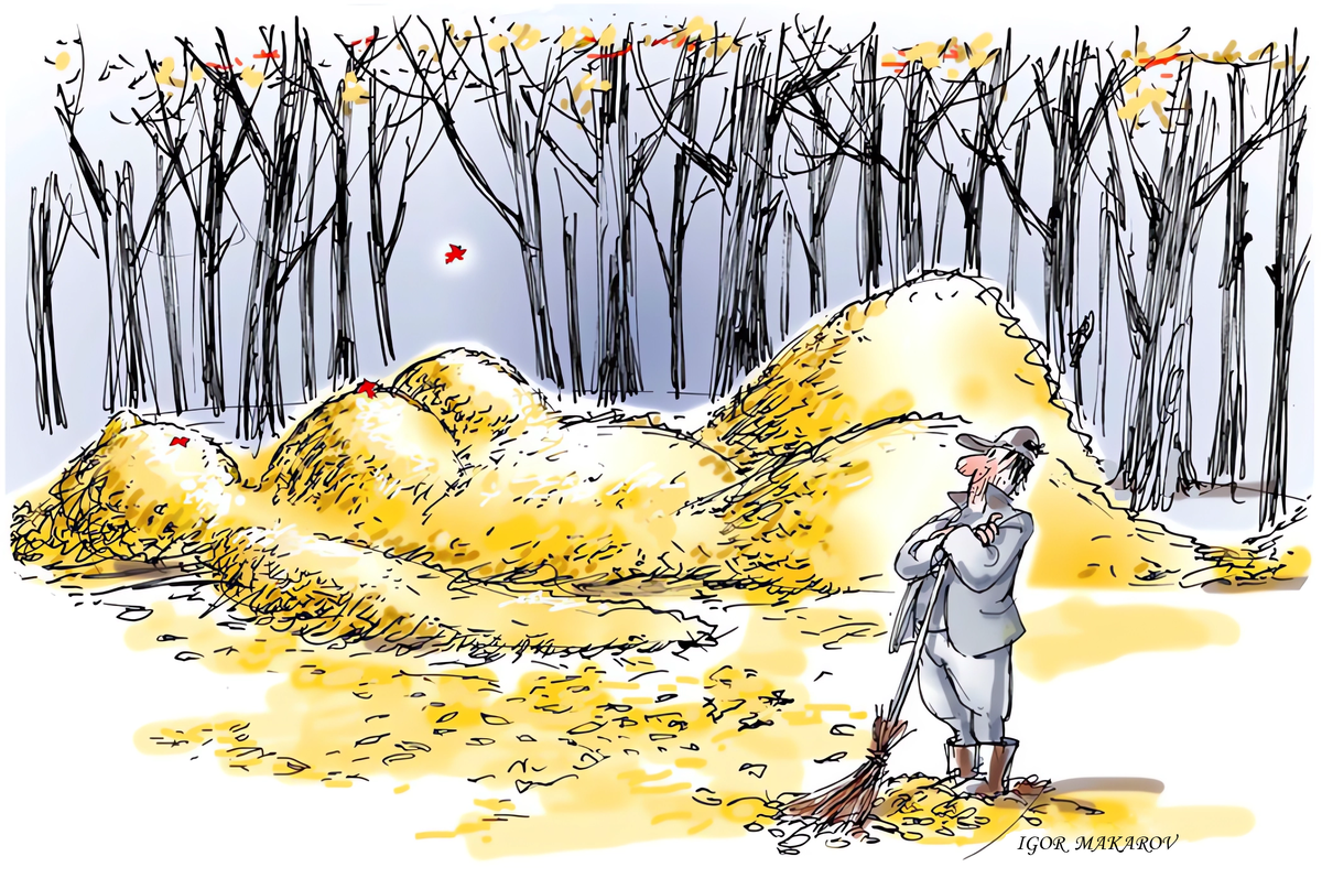 Яндекс картинки