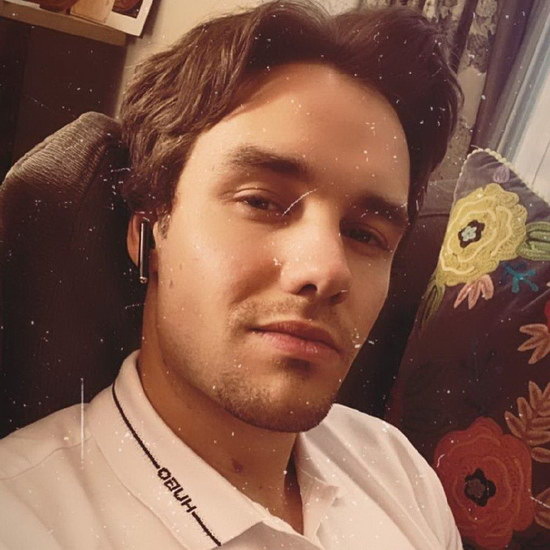     Смерть Лиама Пейна стала темой телешоу и петиции по защите психического здоровья молодых музыкантов