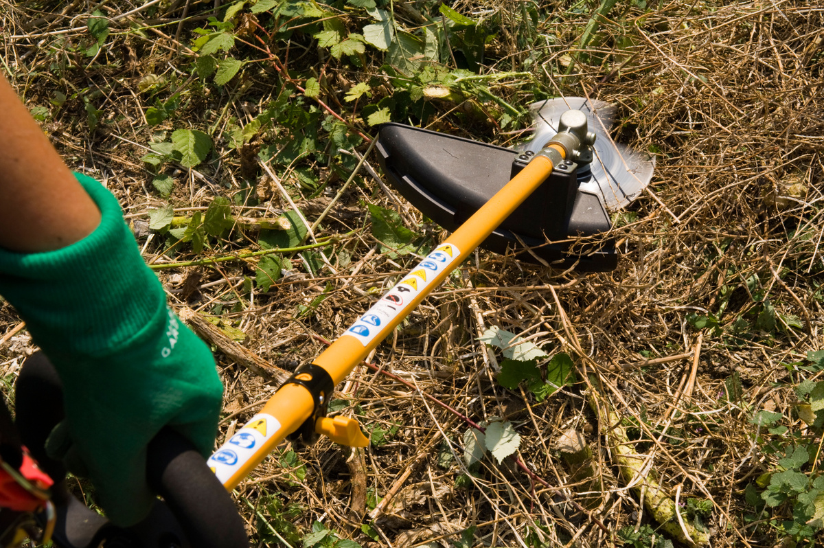    Мягкую траву убирает леска, а для жесткой растительности пригодятся ножи или пилыLegion-Media