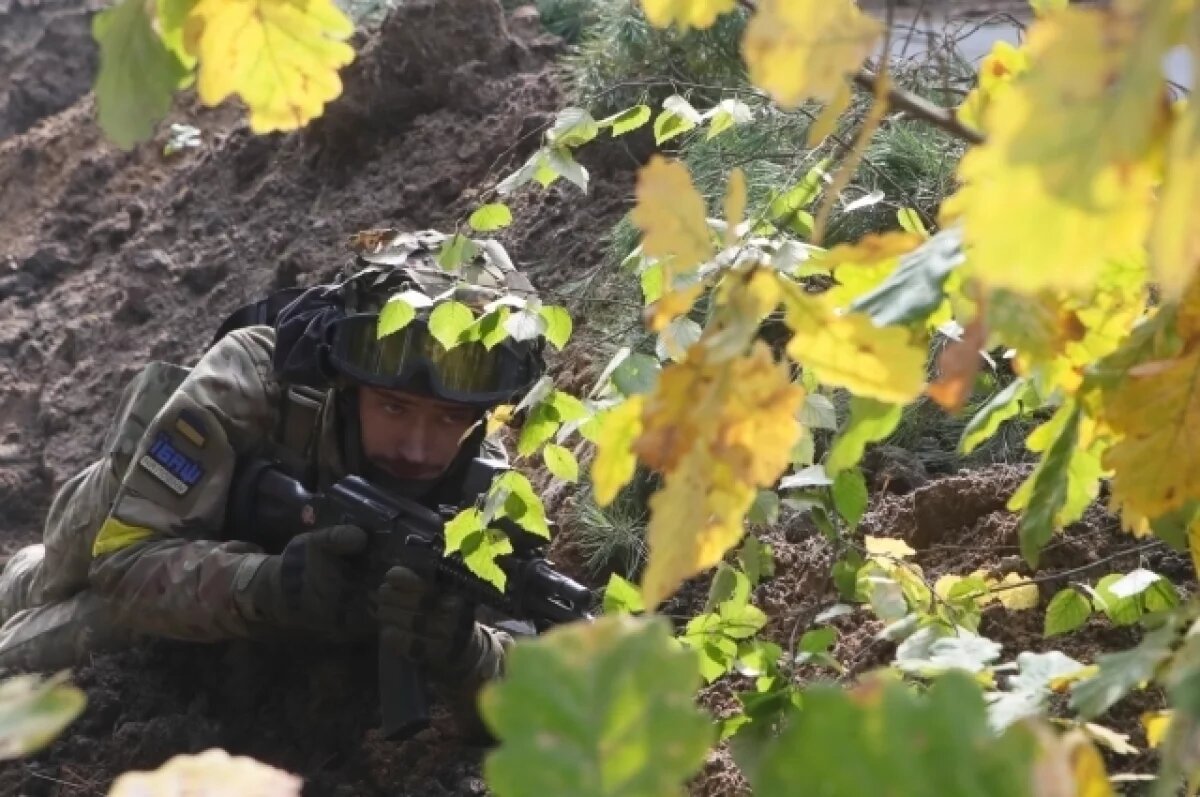    ВСУ отброшены на всех направлениях в зоне СВО и в Курской области