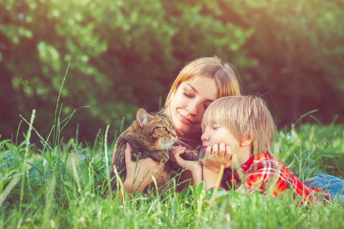 Как сказать ребёнку о смерти питомца