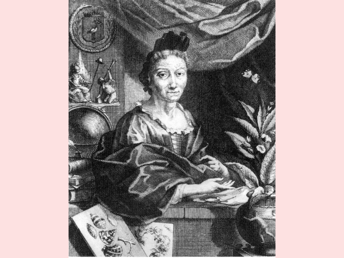 Якобус Хоубракен – Профессиональный портрет Марии Сибиллы Мериан, около 1700 г.