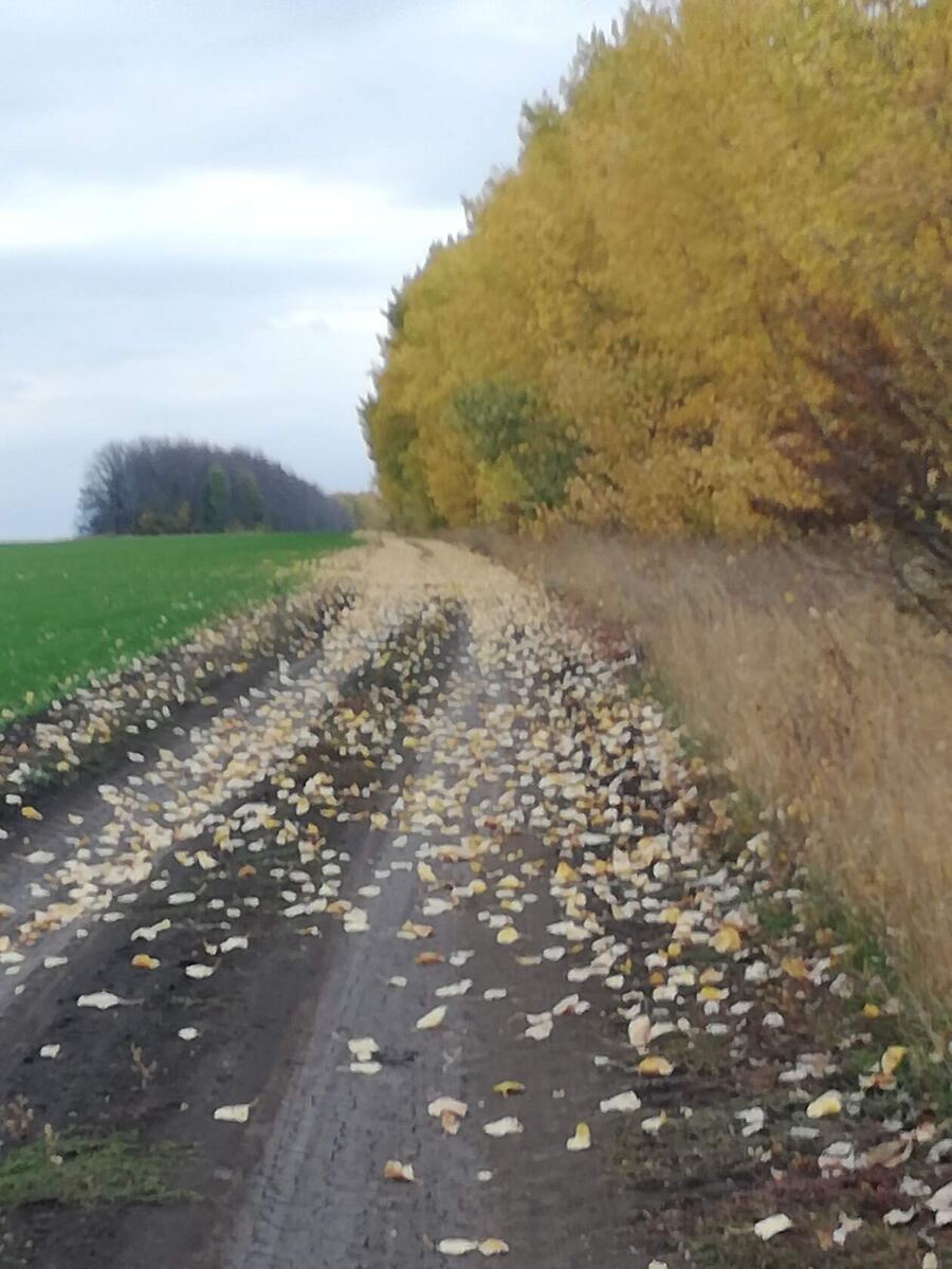 фото автора канала