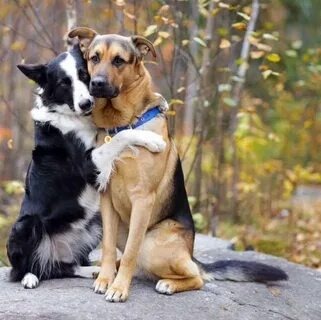 Фото из интернета.