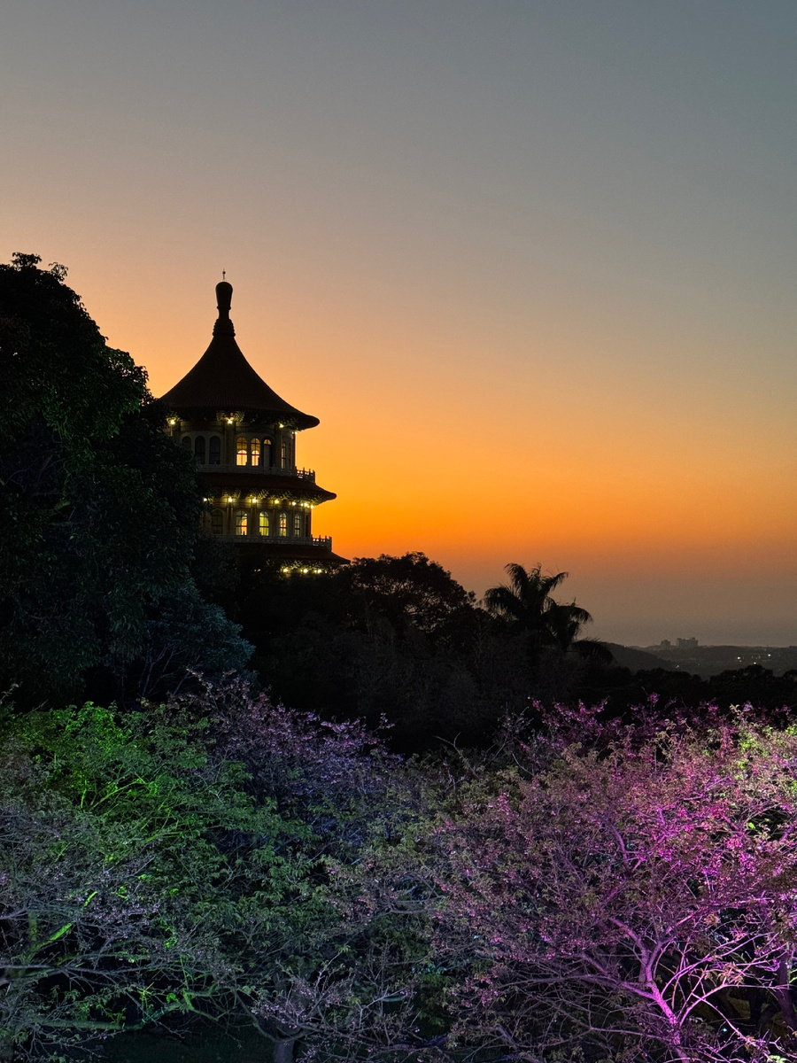 Wuji Juyuan Sansheng Temple 天元宮後山櫻花園區