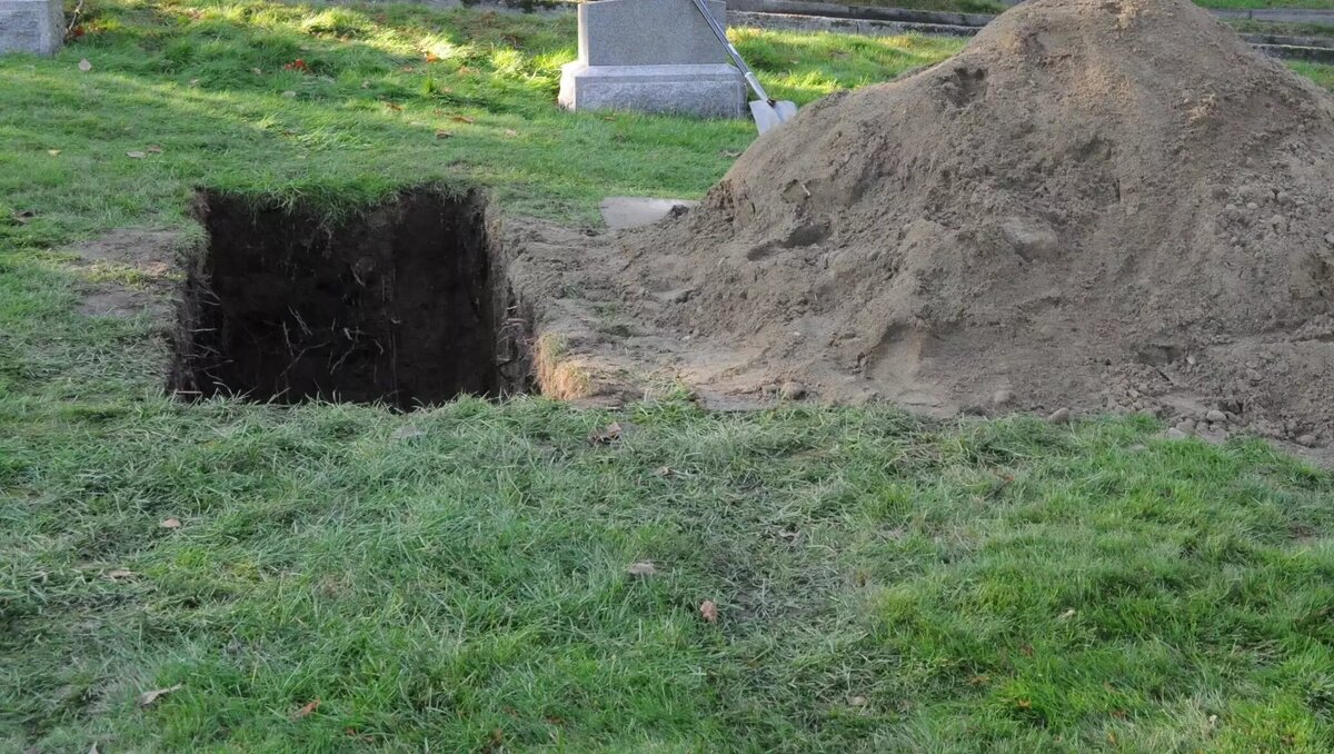     Автор: wikimedia.org