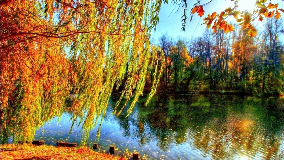 Картинка из интернета.