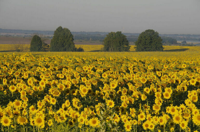   Игорь Самохвалов/ПГ