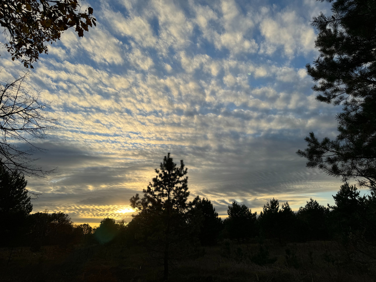 Заповедник