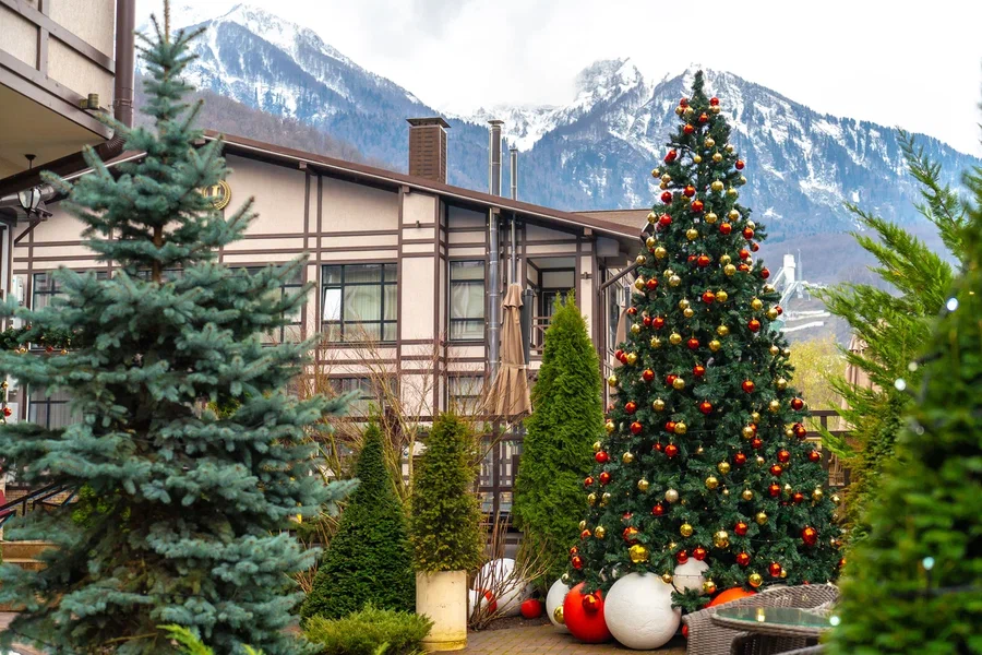 Отель "Грейс Империал"