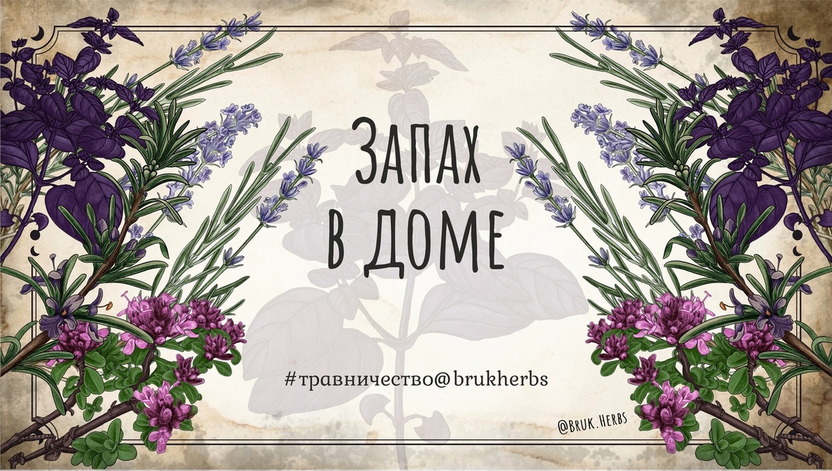 Дизайн @bruk.herbs