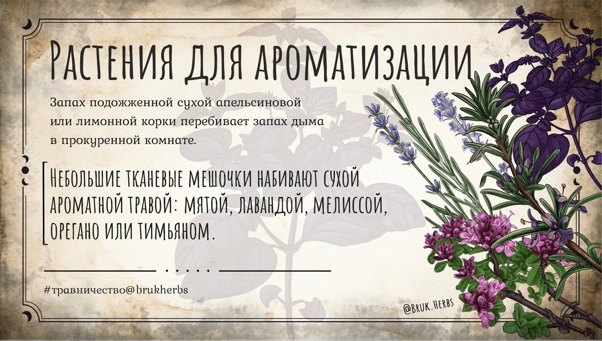 Дизайн @bruk.herbs