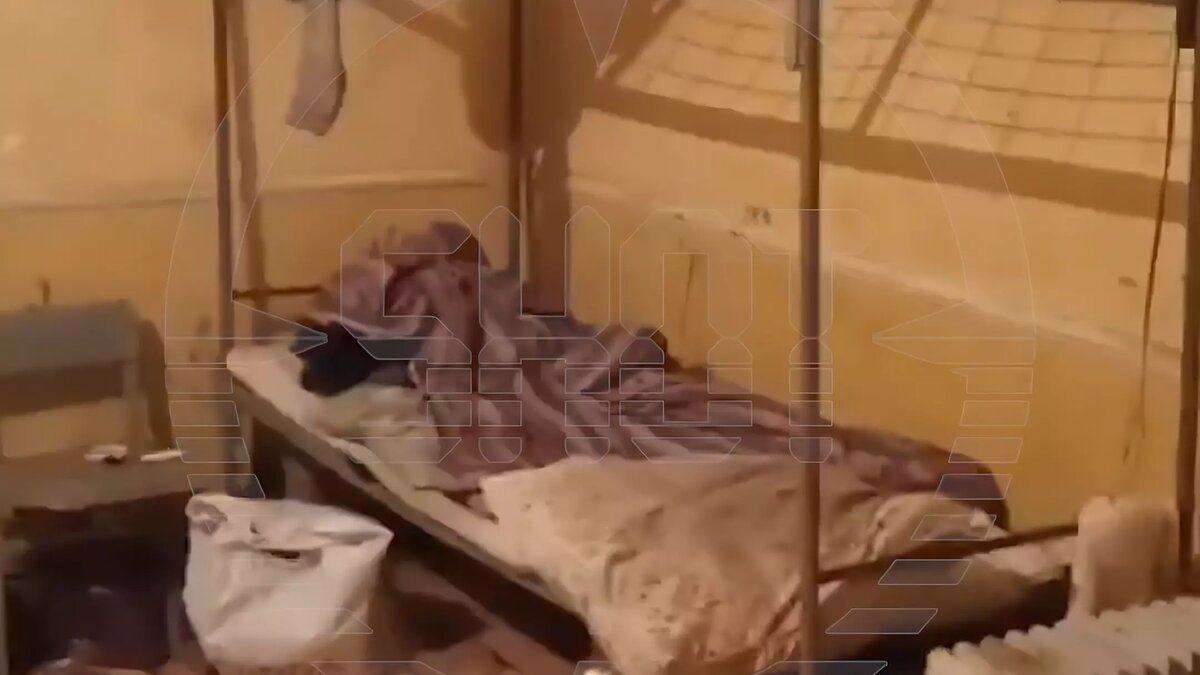     Источник: Telegram-канал SHOT