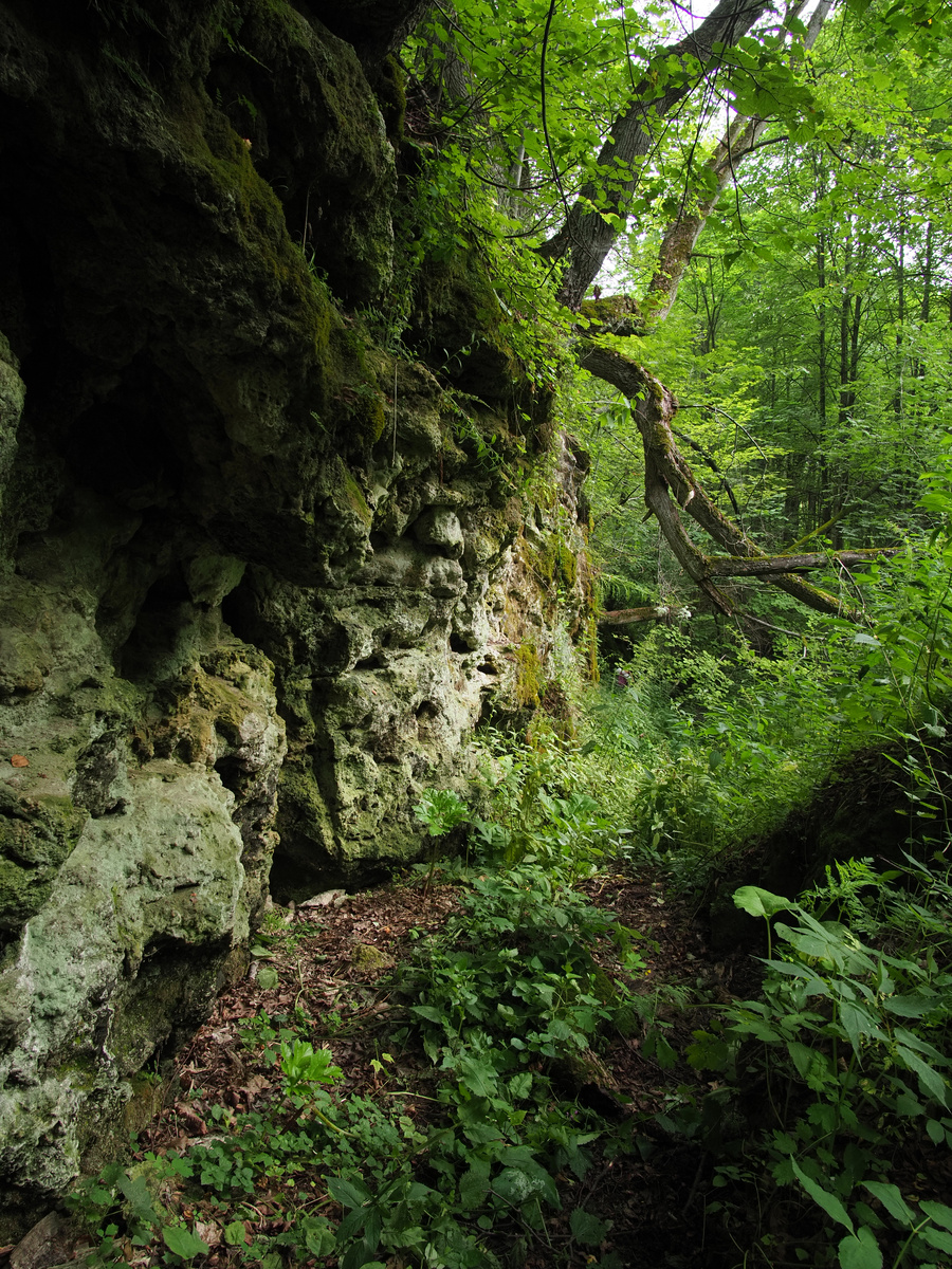 Ершовский каньон