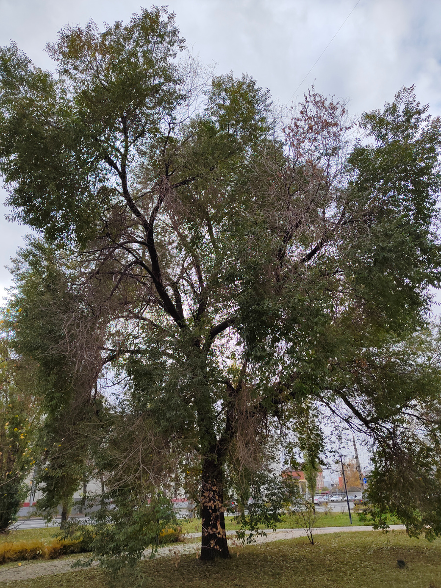 Нижегородский октябрь. Фото моё