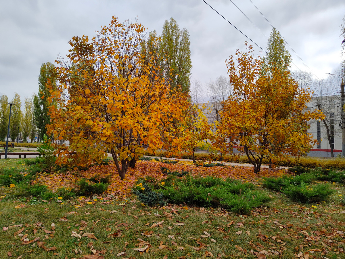 Нижегородский сквер над веткой метро. Фото моё