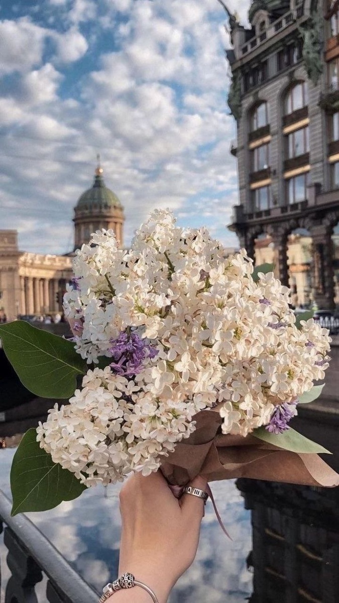 Картинка из Pinterest