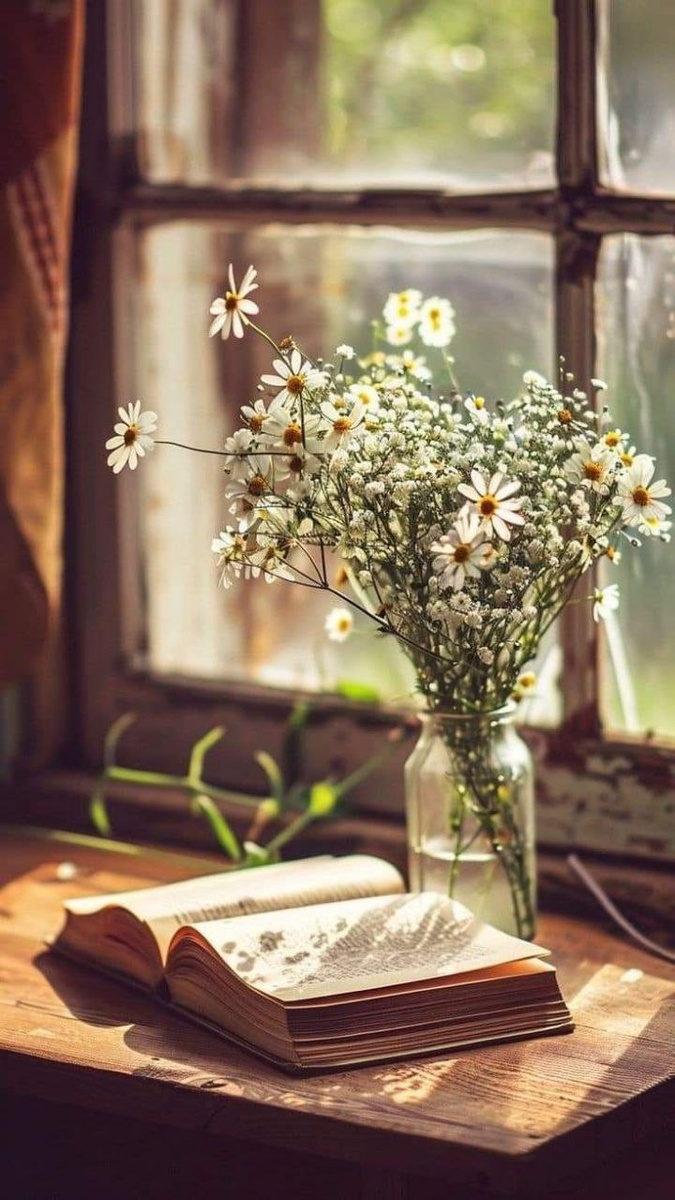 Картинка из Pinterest