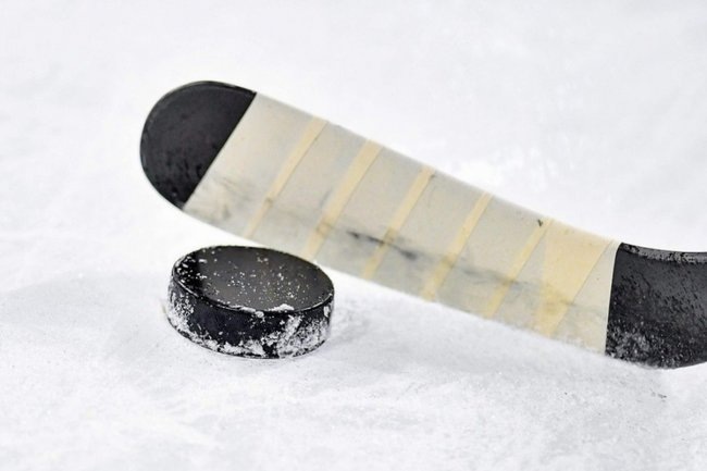    хоккей шайба