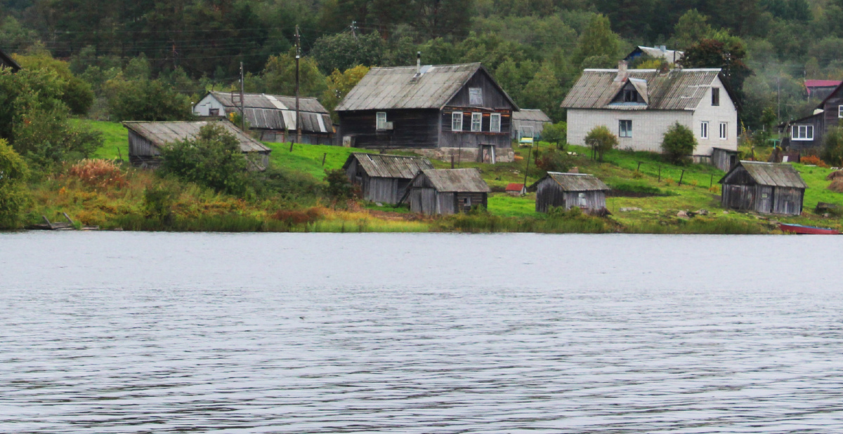 Некоторые жители побережья Ведлозера до сих пор пересказывают события почти 100-летней давности. (Фото: stolicaonego.ru.)