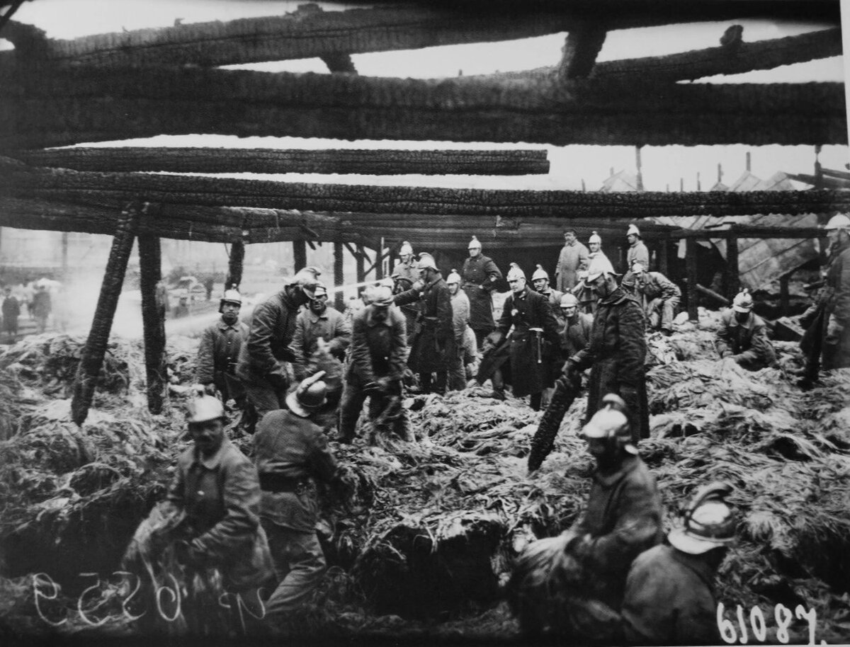 Фото мастерской Карла Буллы