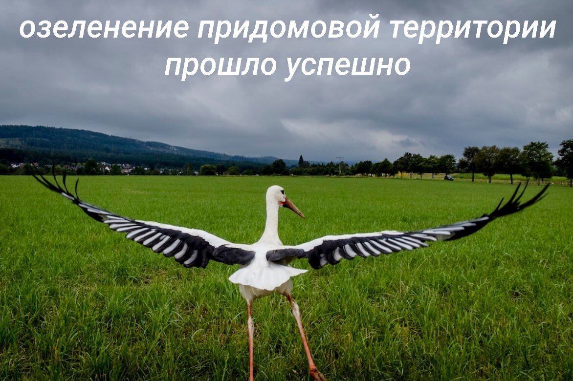 -9