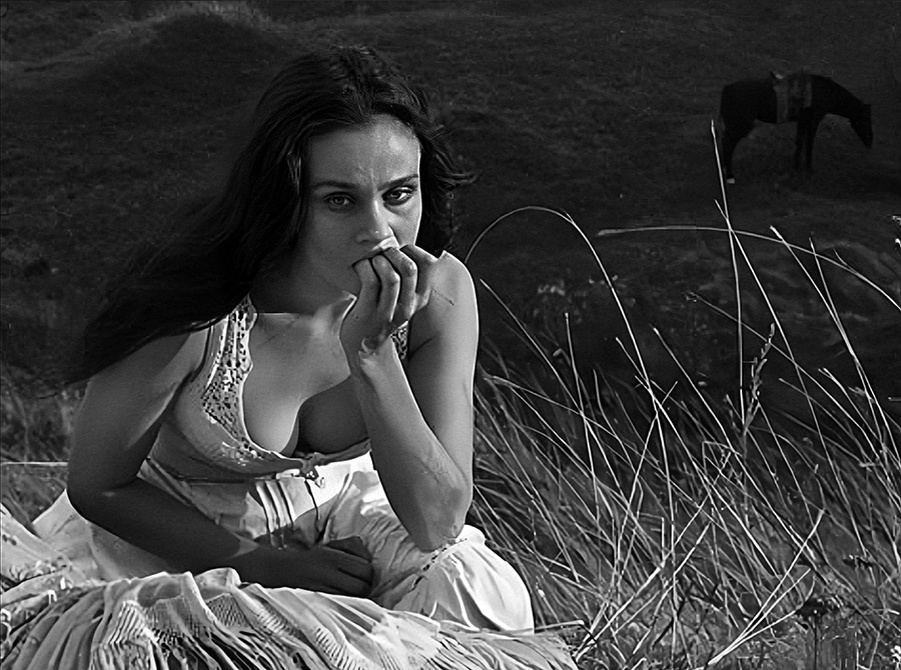 Porno eshakni yalaydi