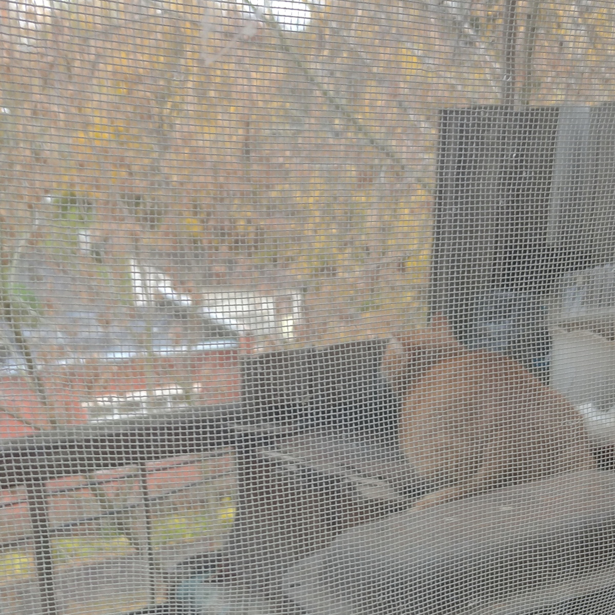 Личное  фото.