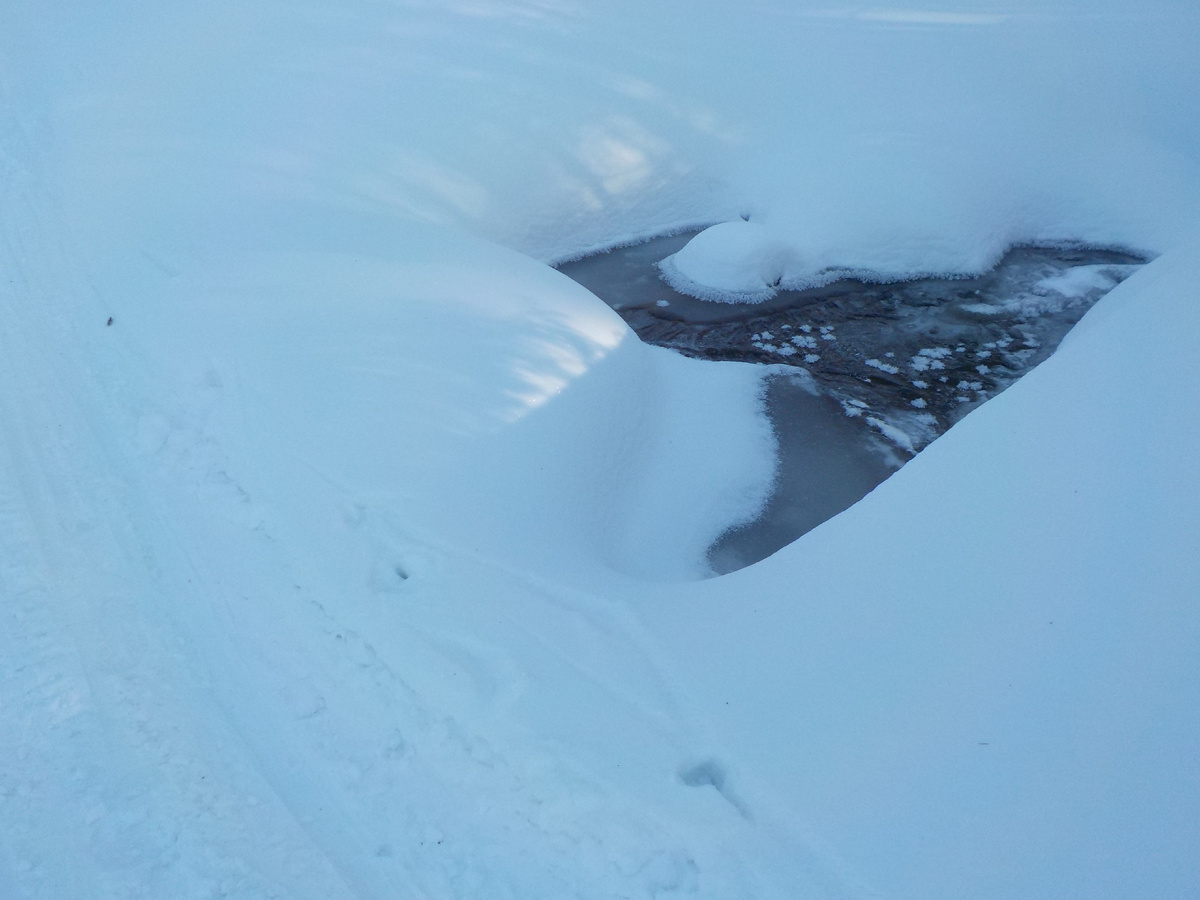 «Часть растаявшего водоема»