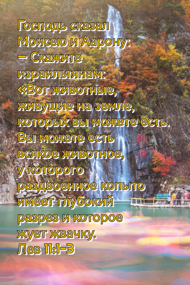 Книга Левит, Глава 11, Стихи 1-3