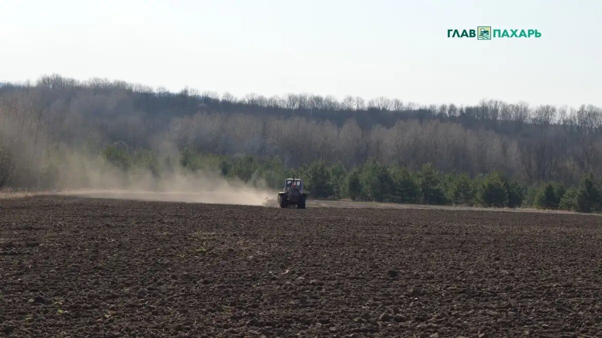 Фото: © Артем Борисов / Glavpahar.ru Фотография носит иллюстративный характер