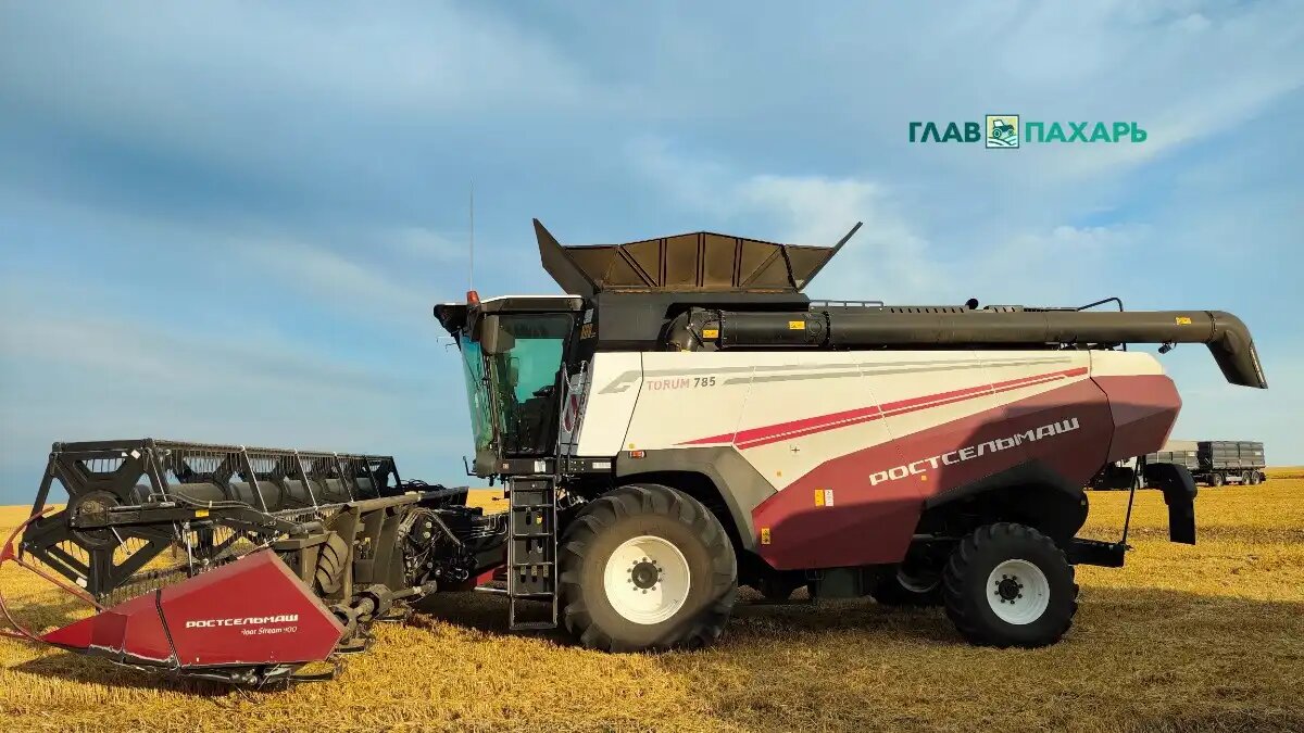 Фото: © Артем Борисов / Glavpahar.ru Зерноуборочный комбайн TORUM в поле (фото иллюстративное)