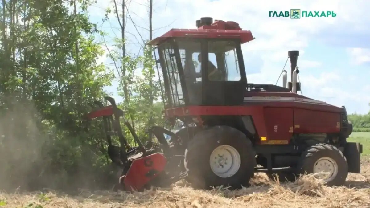 Фото: © Артем Борисов / Glavpahar.ru Работа мульчирующей фрезы MC55250 в Курской области