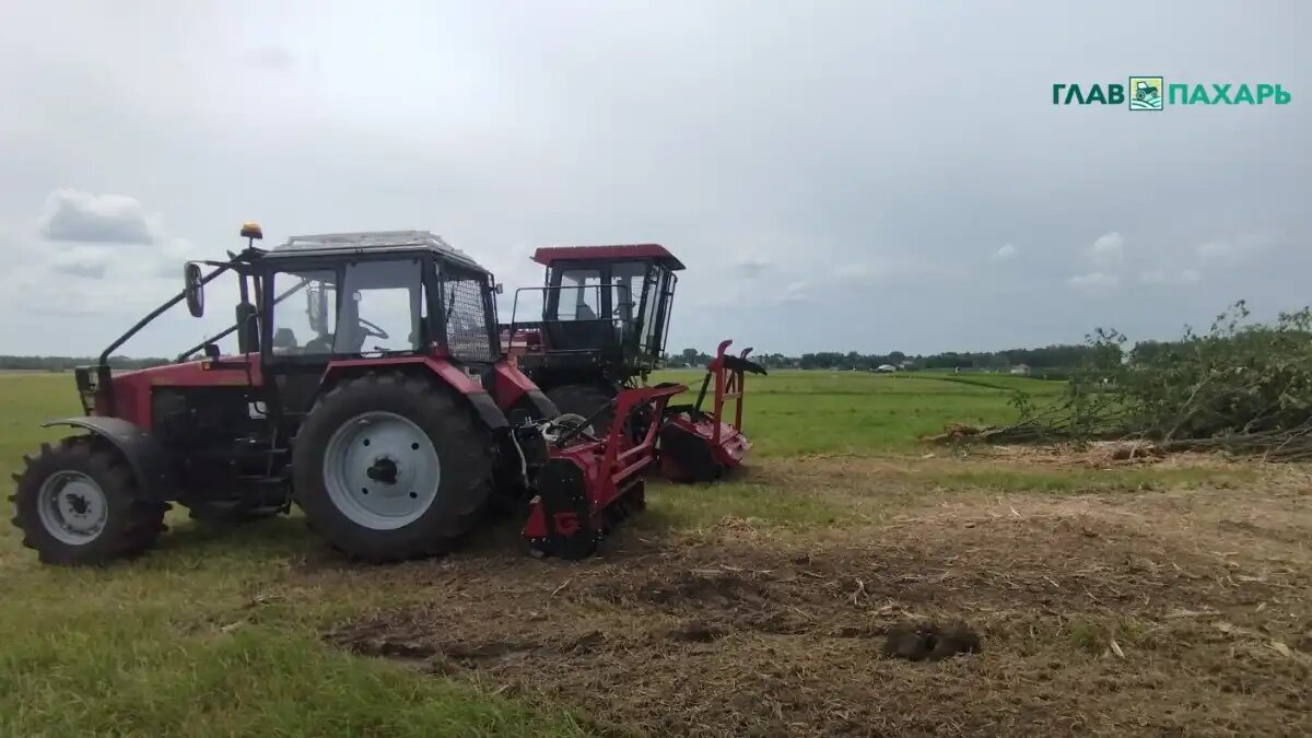 Фото: © Николай Петроченко / Glavpahar.ru Техника для расчистки залежных земель