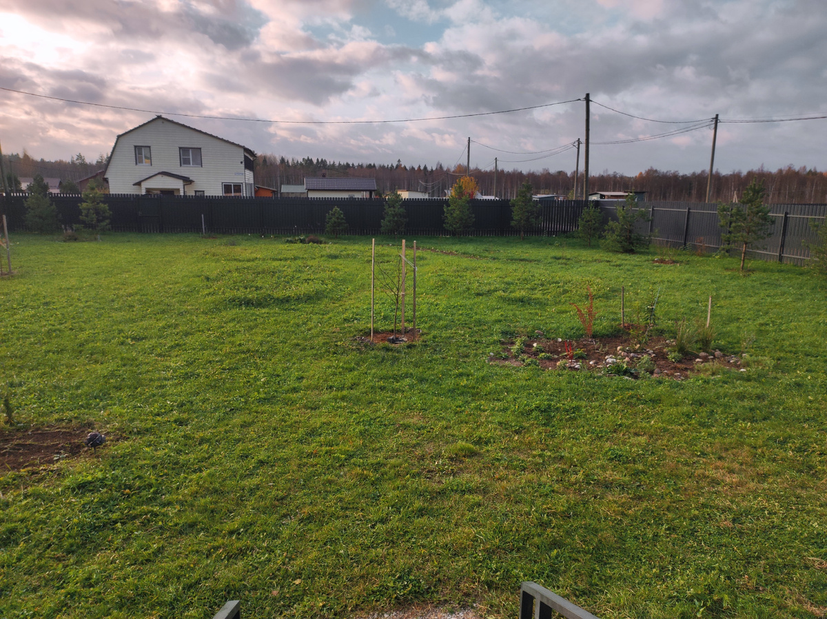 Октябрь 2024 г. Саду два года.