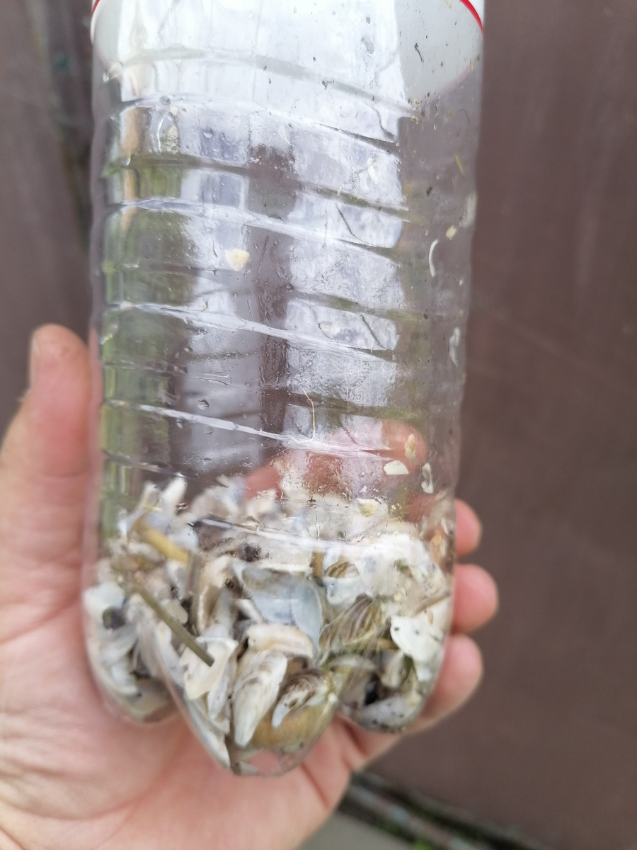 В обрезанных пэт-бутылках тоже получается хороший дренажный слой