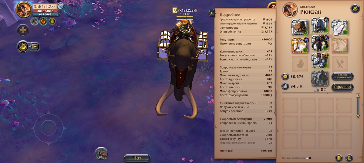 Скрин персонажа DaK1ckZzz. Albion Online.
