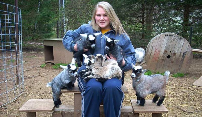 Камерунские козы размером с небольшую собаку. Кто-то возможно их держит даже в гараже или квартире