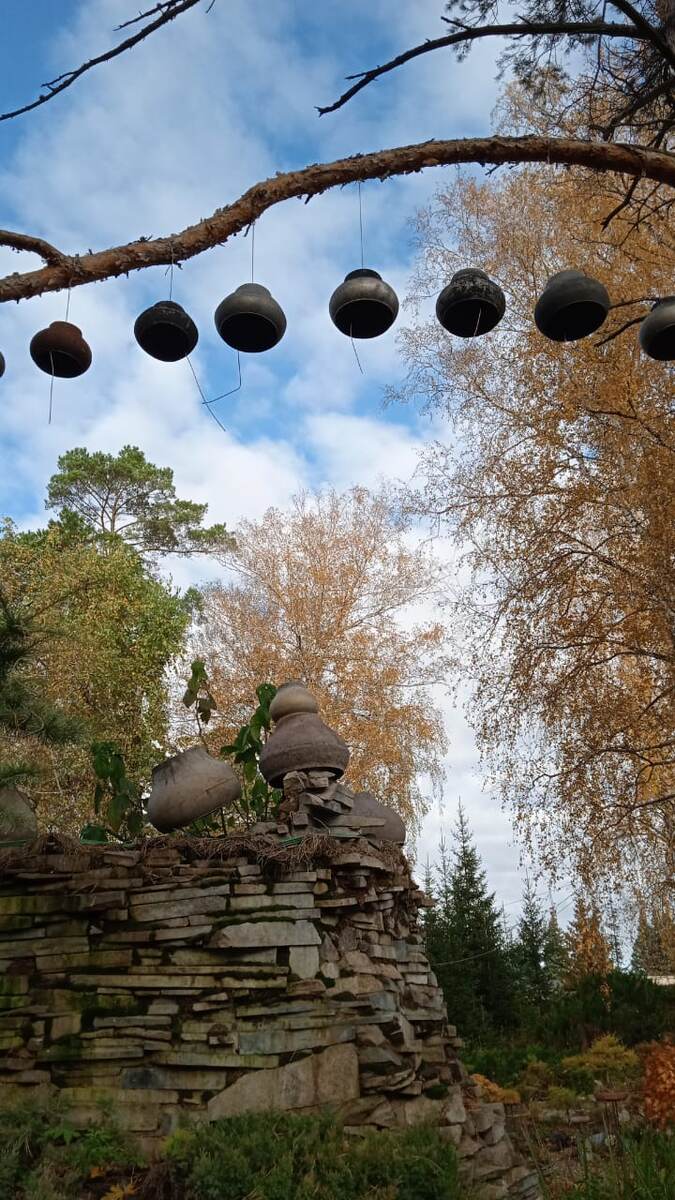 Фото Галины Овчаровой