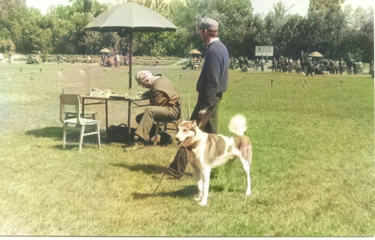 Сделано моим фотоаппаратом в 1984 году. Рига. Фото раскрасила нейросеть.