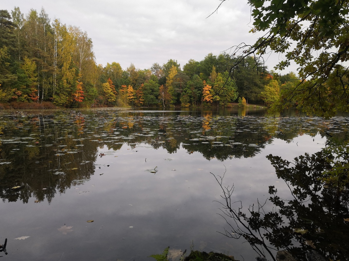 Среднее (Дворцовое) озеро