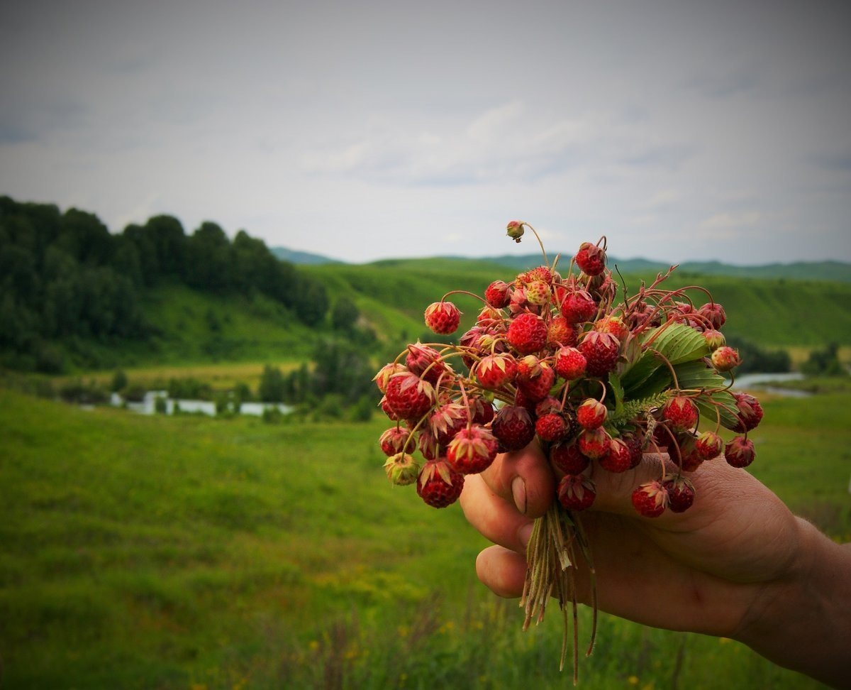 Ароматный букет для Вас