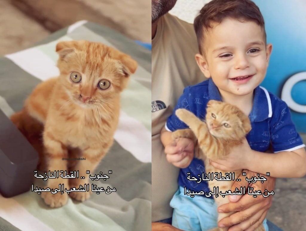 стопкадры с видео