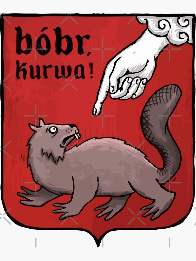 Кошка бросила котят? Это бобр виноват!