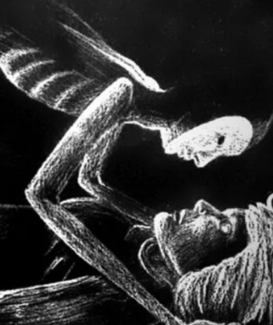 Петечка наклонился и опять со словами "Ведьма! Ведьма" принялся душить онемевшую от страха прабабушку. ( Взято из Яндекс картинки )